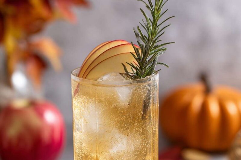 Cider Bourbon Fizz Recipe