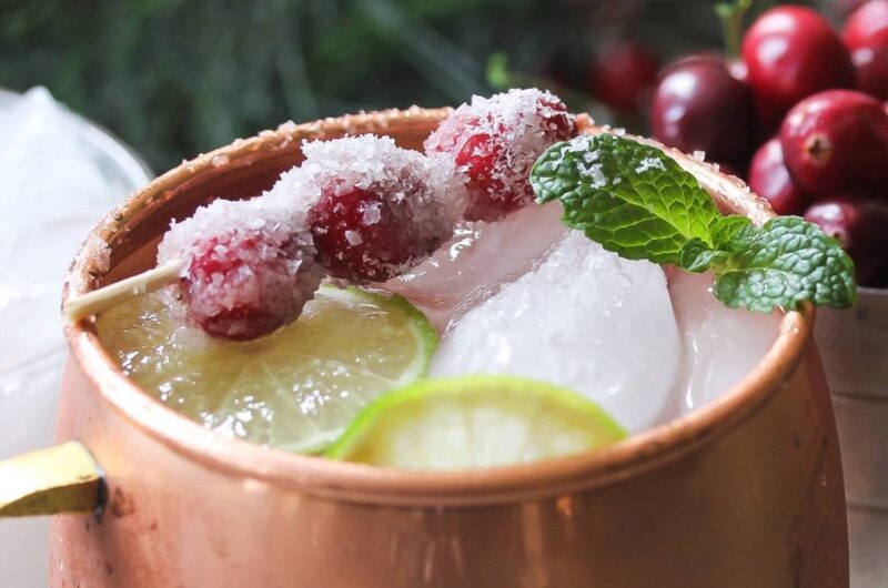 Cranberry Moscow Mule Recipe