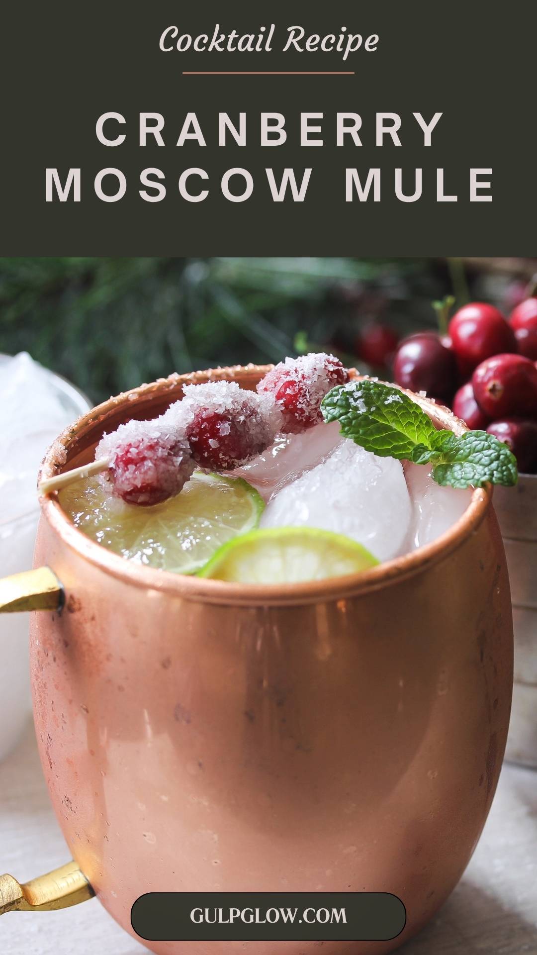 Cranberry & Ginger Drinks