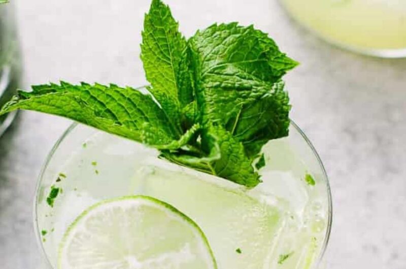 Tequila Mojito Cocktail Recipe