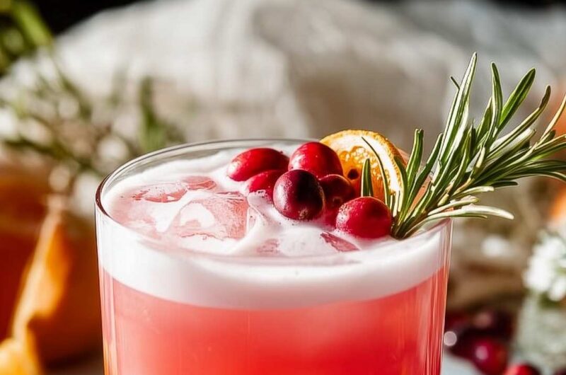 Cranberry Bourbon Sour Cocktail Recipe