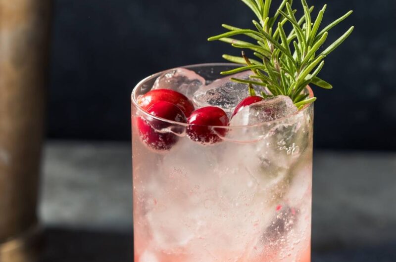 Cranberry Gin Fizz Recipe